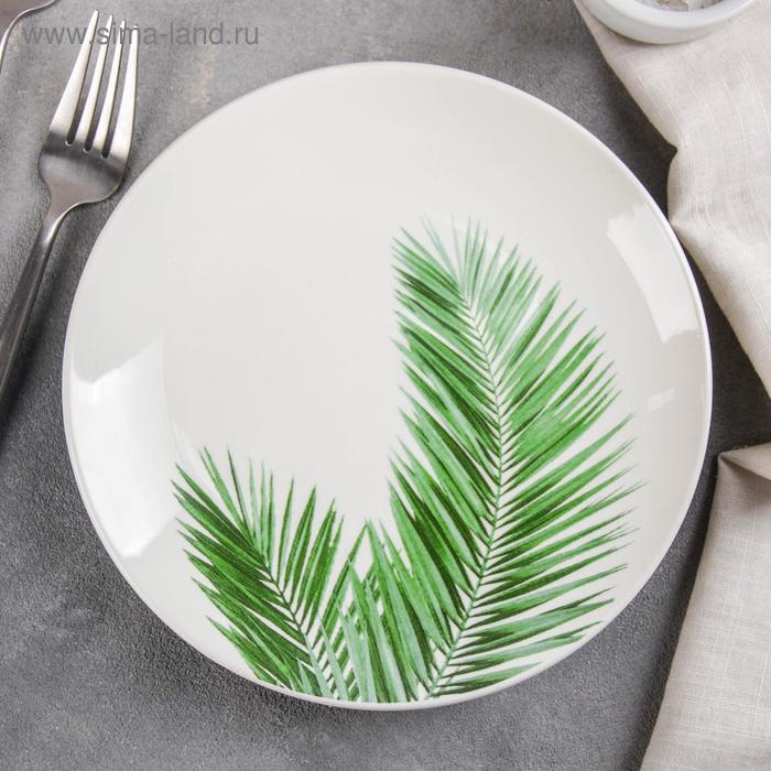 Тарелка «Экзотика», d=19 см, рисунок МИКС
Тарелка «Экзотика», d=19 см, рисунок МИКС