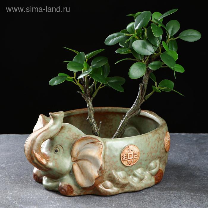 Кашпо "Слон" 16*22*10см
Кашпо "Слон" 16*22*10см