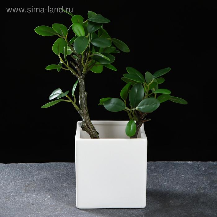 Кашпо "Куб под наклоном" 9*9*11см 
Кашпо "Куб под наклоном" 9*9*11см