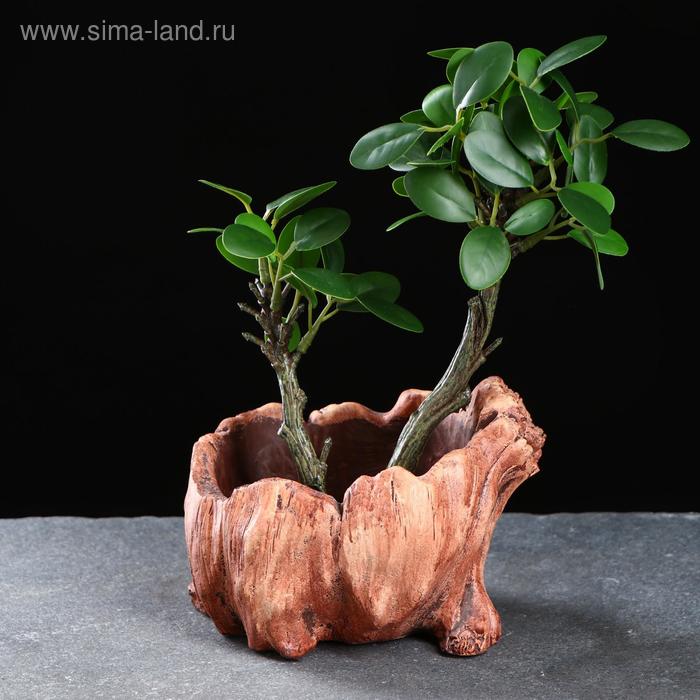 Кашпо керамичское "Пенек" 13*10*10см
Кашпо керамичское "Пенек" 13*10*10см