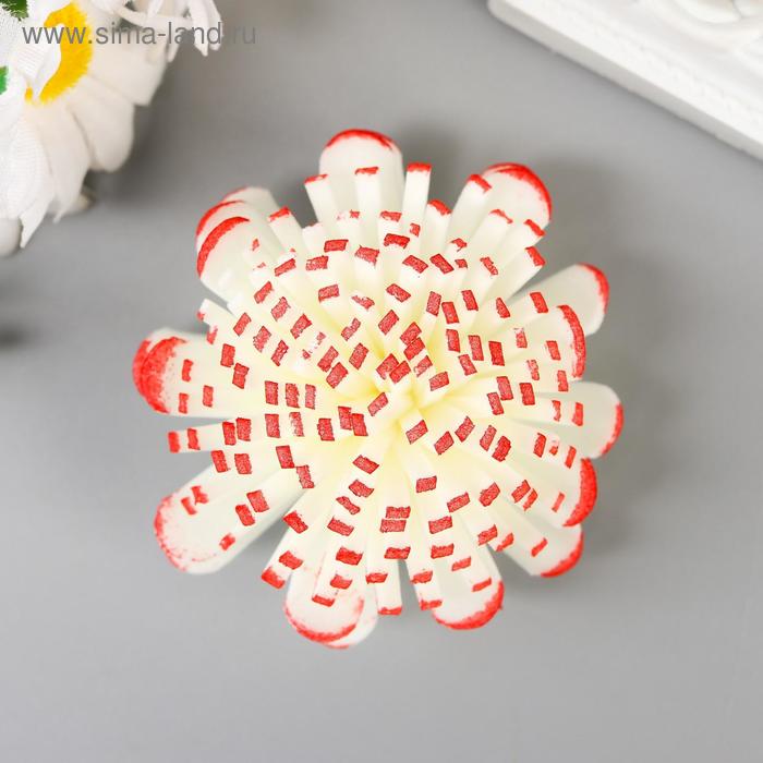 Декор для творчества "Астра" бело-красная d= 4 см
Декор для творчества "Астра" бело-красная d= 4 см