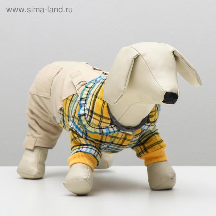 Комбинезон "Нежность", XS (ОШ 18-22,ОГ 27-32,ДС 20 см), жёлтый
Комбинезон "Нежность", XS (ОШ 18-22,ОГ 27-32,ДС 20 см), жёлтый