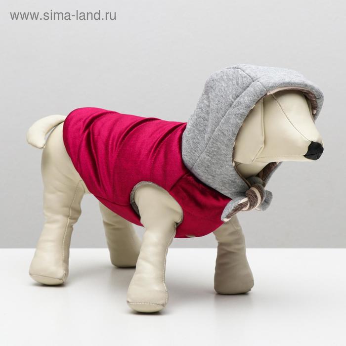 Куртка зимняя, XXL (ОШ 34-38,ОГ 52-59, ДС 40 см), красная
Куртка зимняя, XXL (ОШ 34-38,ОГ 52-59, ДС 40 см), красная