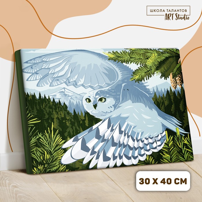 Картина по номерам на холсте с подрамником «Сова в полёте», 40х30 см
Картина по номерам на холсте с подрамником «Сова в полёте», 40х30 см