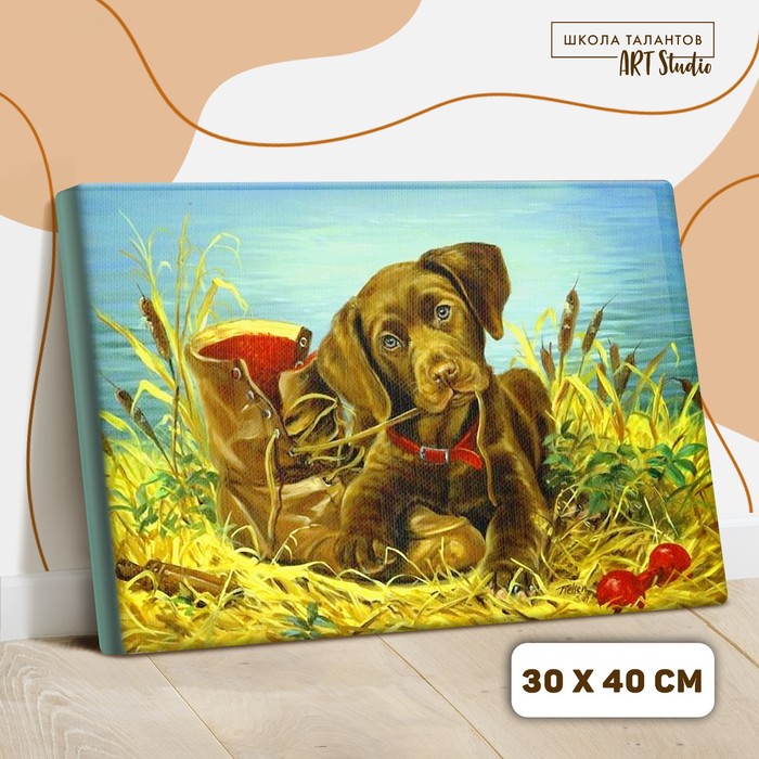 Картина по номерам на холсте с подрамником «Щенок с ботинком», 40х30 см
Картина по номерам на холсте с подрамником «Щенок с ботинком», 40х30 см