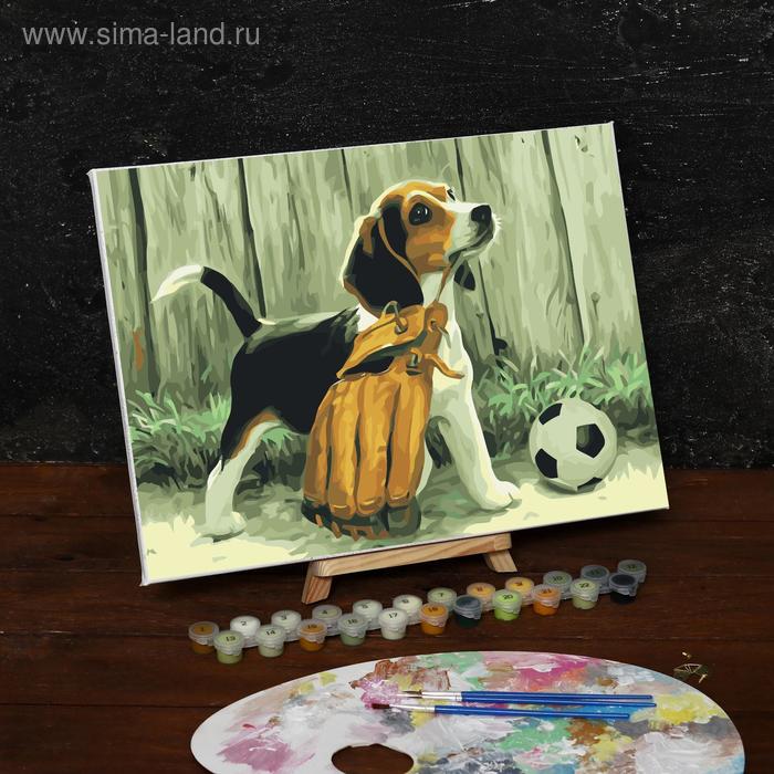 Картина по номерам на холсте с подрамником «Щенок с мячом», 40х30 см 
Картина по номерам на холсте с подрамником «Щенок с мячом», 40х30 см