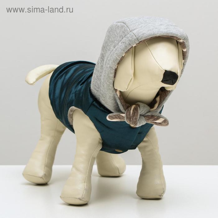 Куртка зимняя, M (ОШ 26-30, ОГ 36-40, ДС 28 см), синия
Куртка зимняя, M (ОШ 26-30, ОГ 36-40, ДС 28 см), синия