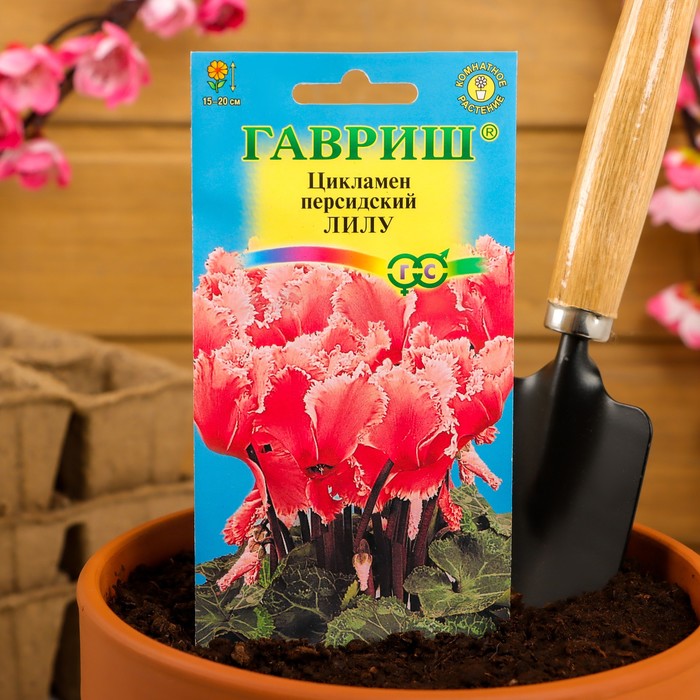 Семена цветов Цикламен "Лилу", персидский, 3 шт.
Семена цветов Цикламен "Лилу", персидский, 3 шт.