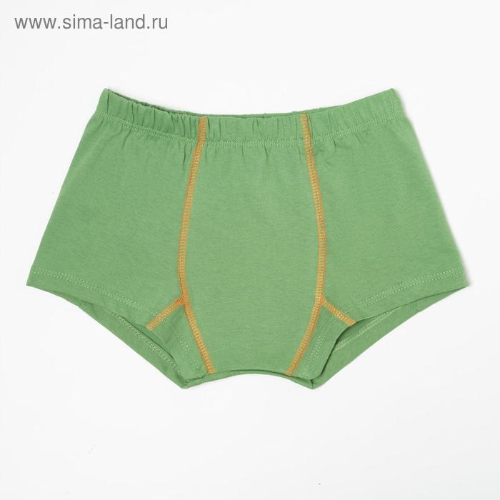 Трусы-боксеры для мальчика, цвет зелёный, рост 140-146 см 
Трусы-боксеры для мальчика, цвет зелёный, рост 140-146 см