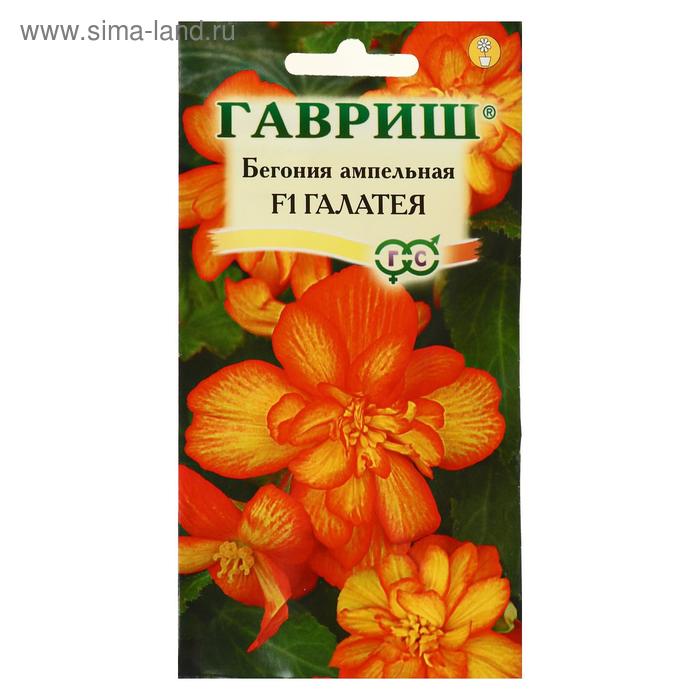 Семена цветов Бегония "Галатея", F1, клубневая, гранулы, 4 шт
Семена цветов Бегония "Галатея", F1, клубневая, гранулы, 4 шт