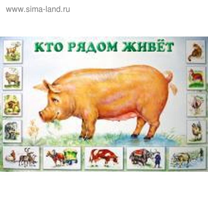 Кто рядом живёт
Кто рядом живёт