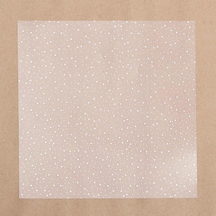 Ацетатный лист с фольгированием «Серебряное сияние», 20 х 20 см
Ацетатный лист с фольгированием «Серебряное сияние», 20 х 20 см