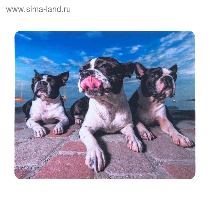 Коврик для компьютерной мыши LKSM-F2 №02
Коврик для компьютерной мыши LKSM-F2 №02