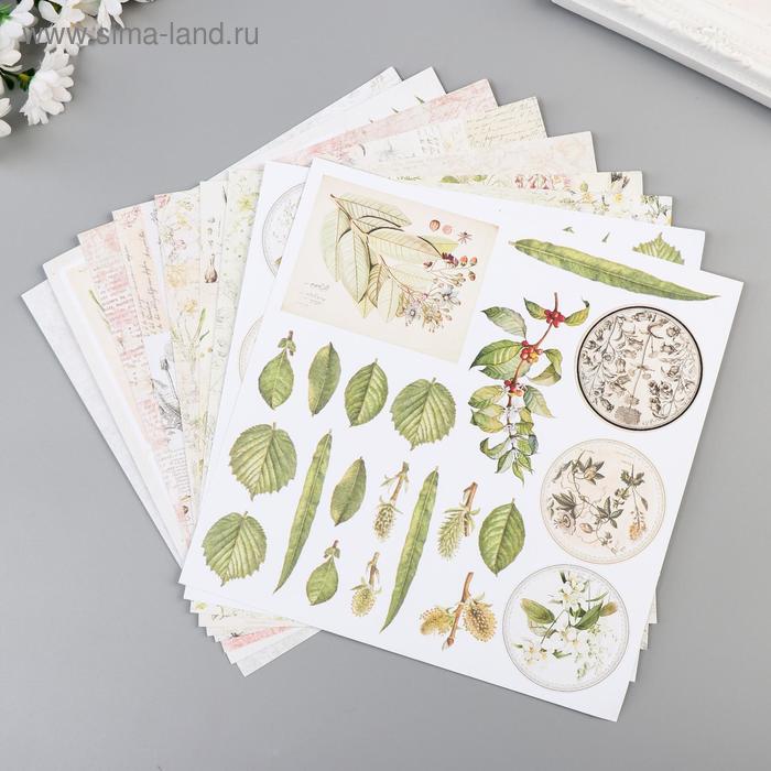Набор бумаги для скрапбукинга "Гербарий" 8 листов 20х20см 190гр/м2
Набор бумаги для скрапбукинга "Гербарий" 8 листов 20х20см 190гр/м2