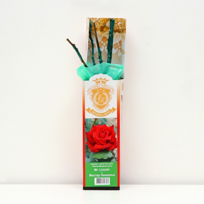 Саженец розы "Мистер Линкольн", 1 шт, туба, Весна 2023
Саженец розы "Мистер Линкольн", 1 шт, туба, Весна 2023