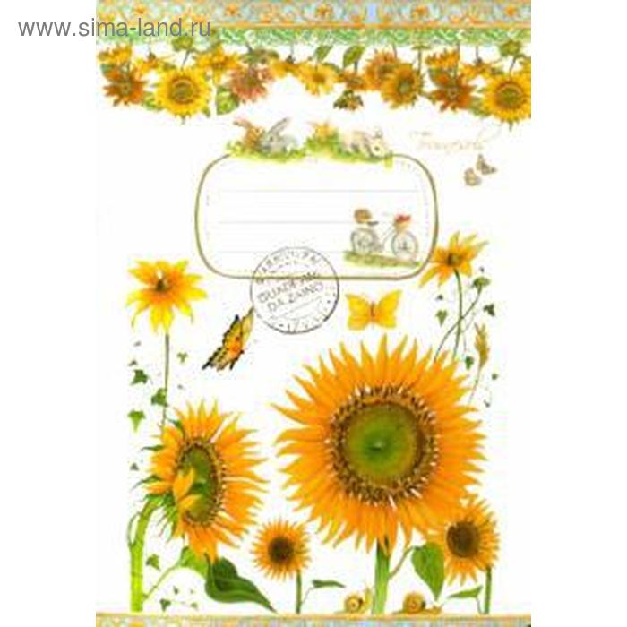 Подсолнухи. Блокнот
Подсолнухи. Блокнот