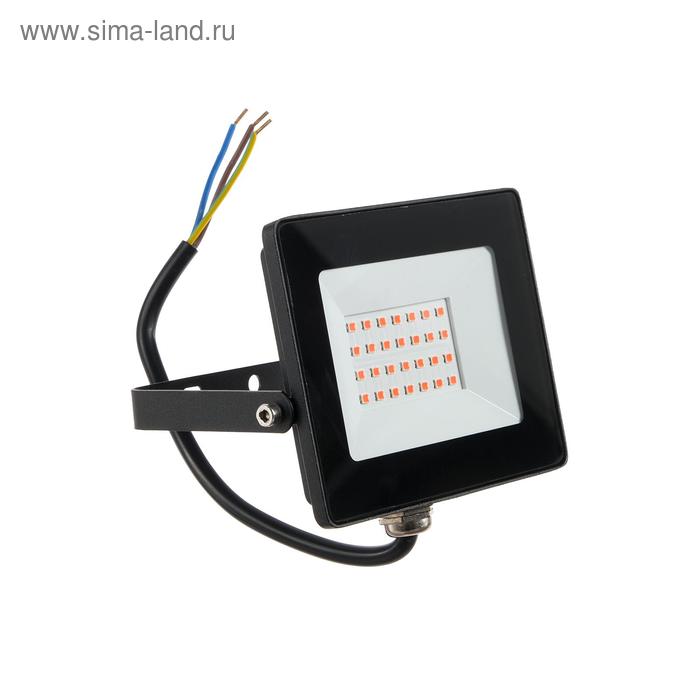 Фитопрожектор светодиодный Smartbuy FL SMD LIGHT, 20 Вт, IP65, 240 В, полноспектральный
Фитопрожектор светодиодный Smartbuy FL SMD LIGHT, 20 Вт, IP65, 240 В, полноспектральный