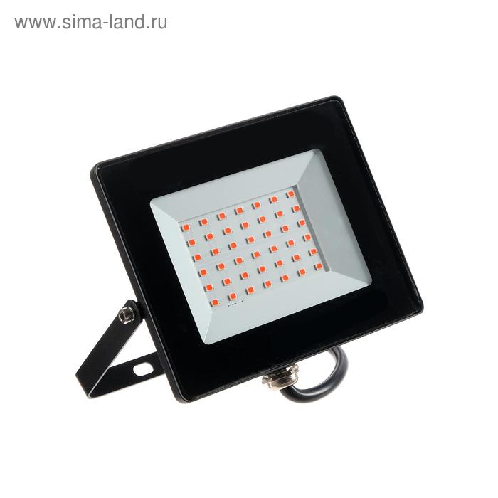 Фитопрожектор светодиодный Smartbuy FL SMD LIGHT, 30 Вт, IP65, 240 В, полноспектральный
Фитопрожектор светодиодный Smartbuy FL SMD LIGHT, 30 Вт, IP65, 240 В, полноспектральный