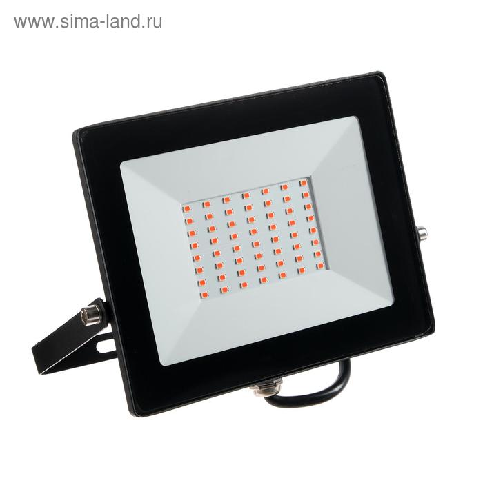 Фитопрожектор светодиодный Smartbuy FL SMD LIGHT, 50 Вт, IP65, 240 В, полноспектральный 
Фитопрожектор светодиодный Smartbuy FL SMD LIGHT, 50 Вт, IP65, 240 В, полноспектральный