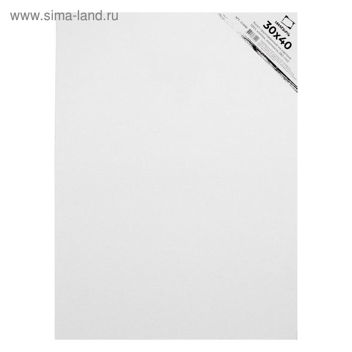 Холст на картоне 30 х 40 см, 3 мм, хлопок 100%, акриловый грунт, мелкозернистый, «Малевичъ» 
Холст на картоне 30 х 40 см, 3 мм, хлопок 100%, акриловый грунт, мелкозернистый, «Малевичъ»