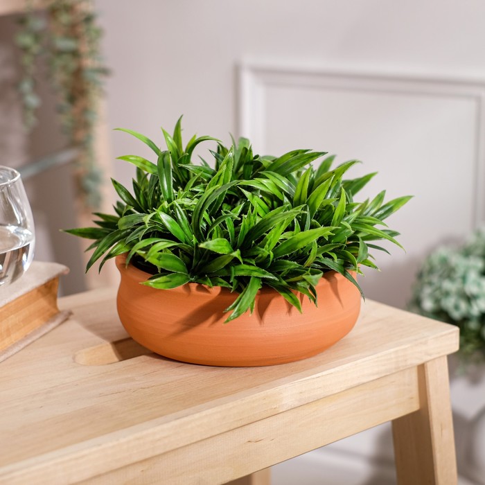 Горшок для кактусов и суккулентов "Бонсайница", без поддона, красная глина, Ø 14 см, 0.45 л
Горшок для кактусов и суккулентов "Бонсайница", без поддона, красная глина, Ø 14 см, 0.45 л