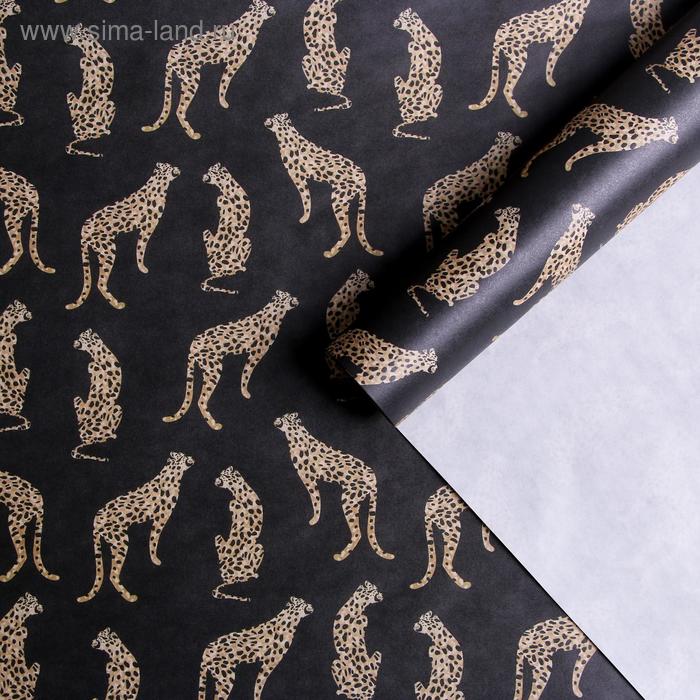 Бумага упаковочная крафтовая «Гепарды», 50 × 70 см
Бумага упаковочная крафтовая «Гепарды», 50 × 70 см