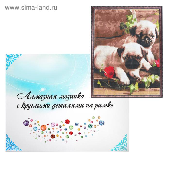 Алмазная мозаика с подрамником, полное заполнение, 40×50 см «Щенки»
Алмазная мозаика с подрамником, полное заполнение, 40×50 см «Щенки»
