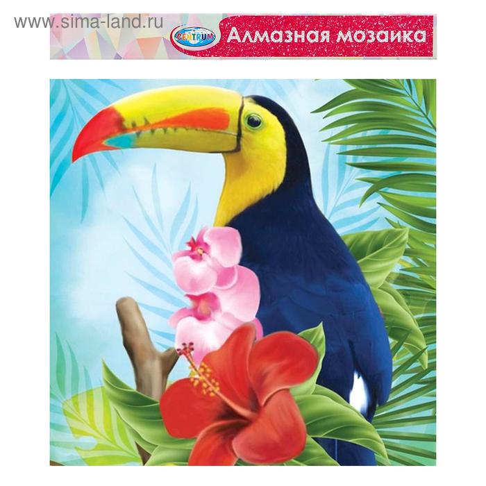 Алмазная мозаика без подрамника, частичное заполнение «Тукан» 40×50 см
Алмазная мозаика без подрамника, частичное заполнение «Тукан» 40×50 см