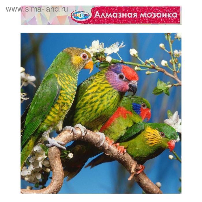 Алмазная мозаика без подрамника, частичное заполнение «Попугаи» 40×50 см
Алмазная мозаика без подрамника, частичное заполнение «Попугаи» 40×50 см