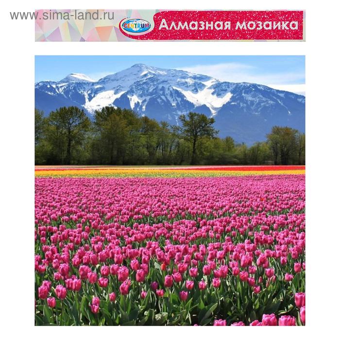 Алмазная мозаика без подрамника, частичное заполнение «Горный пейзаж» 40×50 см 
Алмазная мозаика без подрамника, частичное заполнение «Горный пейзаж» 40×50 см