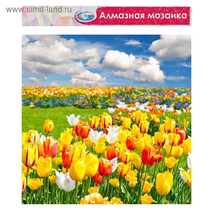 Алмазная мозаика без подрамника, частичное заполнение «Тюльпаны» 40×30 см
Алмазная мозаика без подрамника, частичное заполнение «Тюльпаны» 40×30 см