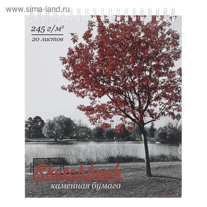 Скетчбук А5, 20 листов на гребне "Осень", обложка мелованный картон, жёсткая подложка, тиснение фольгой, выборочный УФ-лак, блок 245 г/м2
Скетчбук А5, 20 листов на гребне "Осень", обложка мелованный картон, жёсткая подложка, тиснение фольгой, выборочный УФ-лак, блок 245 г/м2