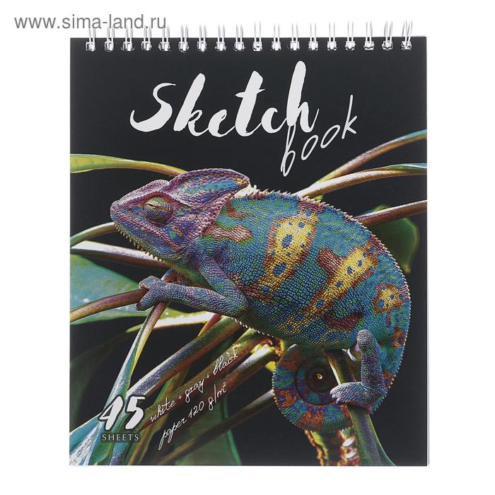 Скетчбук А5, 45 листов на гребне "Хамелеон", обложка мелованный картон, жёсткая подложка, тиснение фольгой, твин-лак, блок 3 цвета 120 г/м²
Скетчбук А5, 45 листов на гребне "Хамелеон", обложка мелованный картон, жёсткая подложка, тиснение фольгой, твин-лак, блок 3 цвета 120 г/м²