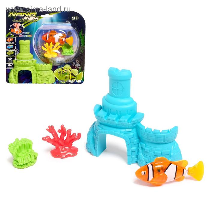 Аквариумная рыбка «Клоун», плавает в воде, с декорациями
Аквариумная рыбка «Клоун», плавает в воде, с декорациями