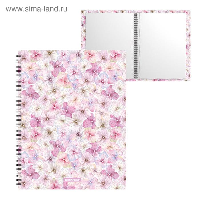 Папка с 40 вкладышами А4, 550 мкм, ErichKrause Phloxes, спираль, с рисунком
Папка с 40 вкладышами А4, 550 мкм, ErichKrause Phloxes, спираль, с рисунком