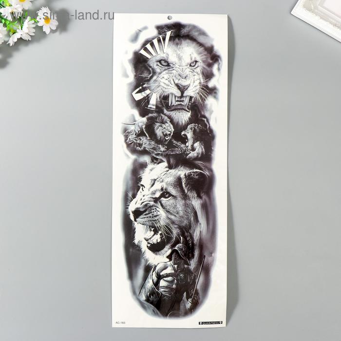 Татуировка на тело чёрная "Львы - оскал" 48,5х17 см
Татуировка на тело чёрная "Львы - оскал" 48,5х17 см