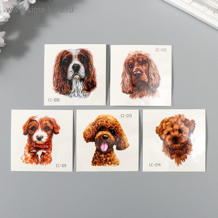 Татуировка на тело цветная "Породистая собака" МИКС 6х6 см
Татуировка на тело цветная "Породистая собака" МИКС 6х6 см