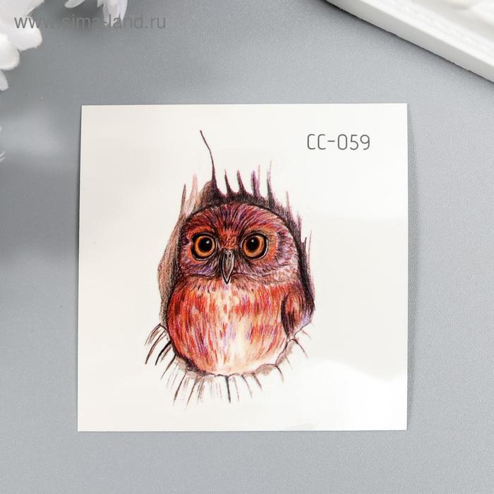 Татуировка на тело цветная "Маленький совёныш" 6х6 см 
Татуировка на тело цветная "Маленький совёныш" 6х6 см