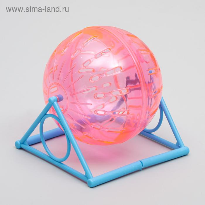 Шар для грызунов на пластиковом основании, 14 см, микс цветов
Шар для грызунов на пластиковом основании, 14 см, микс цветов