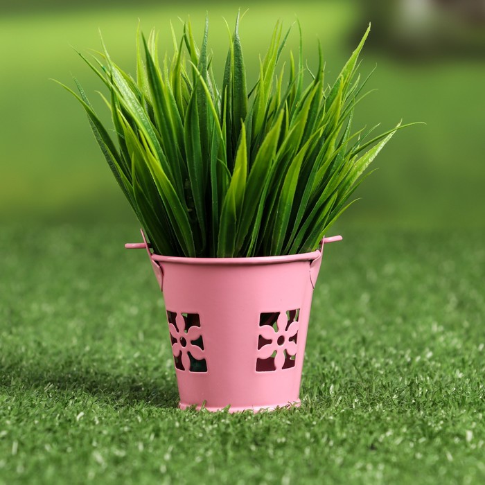 Кашпо "Ведерко Узор" цветы МИКС, 6х6см
Кашпо "Ведерко Узор" цветы МИКС, 6х6см