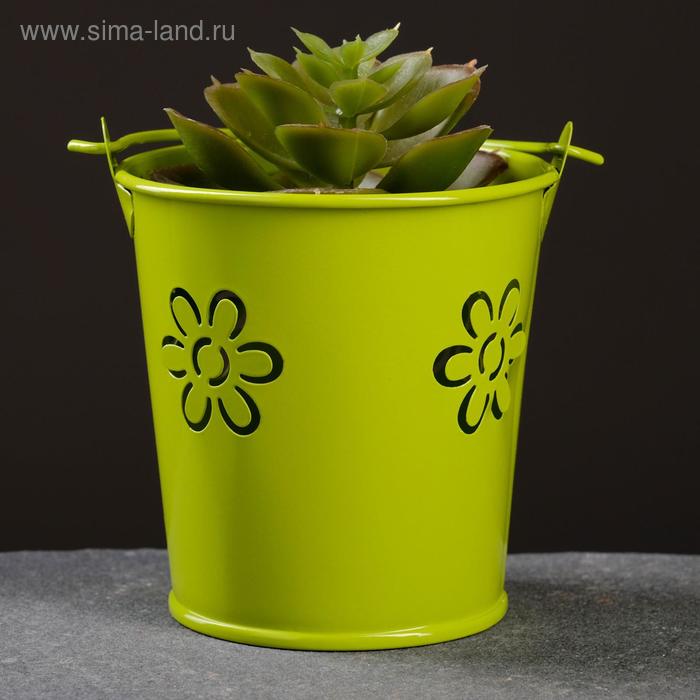 Кашпо "Ведерко" цветы, 7,5*8см, микс
Кашпо "Ведерко" цветы, 7,5*8см, микс