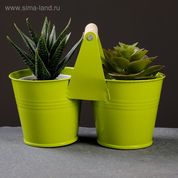 Кашпо двойное с ручкой 15,5*7,5*11см микс
Кашпо двойное с ручкой 15,5*7,5*11см микс