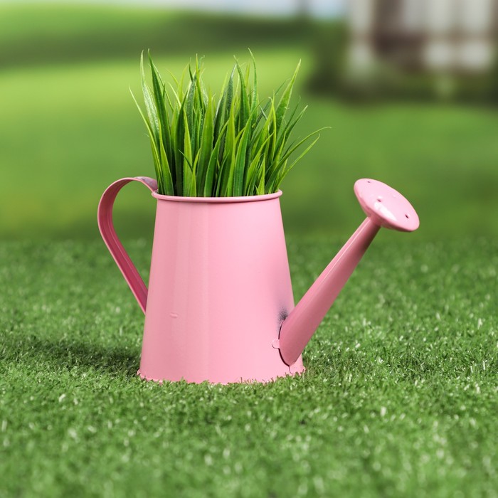 Кашпо "Лейка" МИКС, 16х7х9см
Кашпо "Лейка" МИКС, 16х7х9см