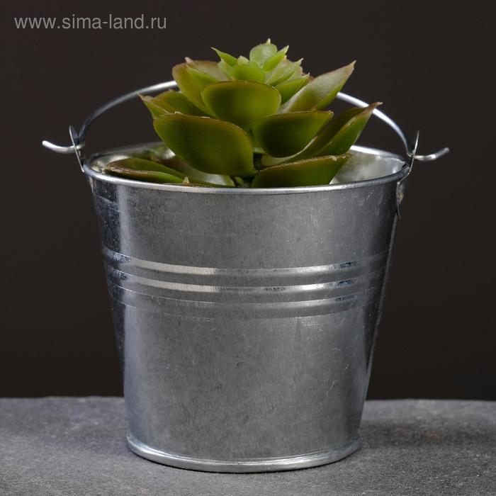 Кашпо "Ведерко" 6,5*6см
Кашпо "Ведерко" 6,5*6см