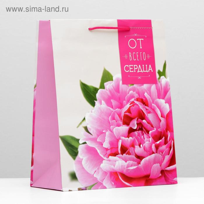 Пакет подарочный "От всего сердца", 26 х 32 х 12 см
Пакет подарочный "От всего сердца", 26 х 32 х 12 см