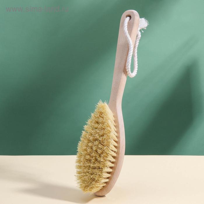 Щётка для сухого массажа, из натуральной берёзы, щетина натуральная тампико, 7-ми рядная, высота ворса 30 мм
Щётка для сухого массажа, из натуральной берёзы, щетина натуральная тампико, 7-ми рядная, высота ворса 30 мм