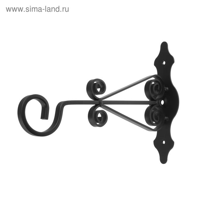 Кронштейн для кашпо мод.11 25 см, черный
Кронштейн для кашпо мод.11 25 см, черный