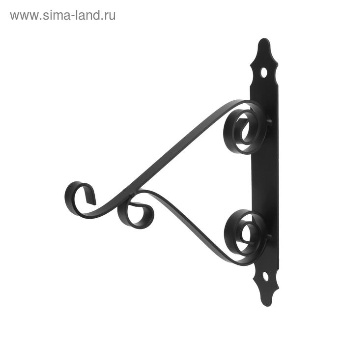 Кронштейн для кашпо мод.5 25 см, черный
Кронштейн для кашпо мод.5 25 см, черный