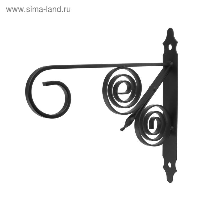 Кронштейн для кашпо мод.8 30 см, черный
Кронштейн для кашпо мод.8 30 см, черный