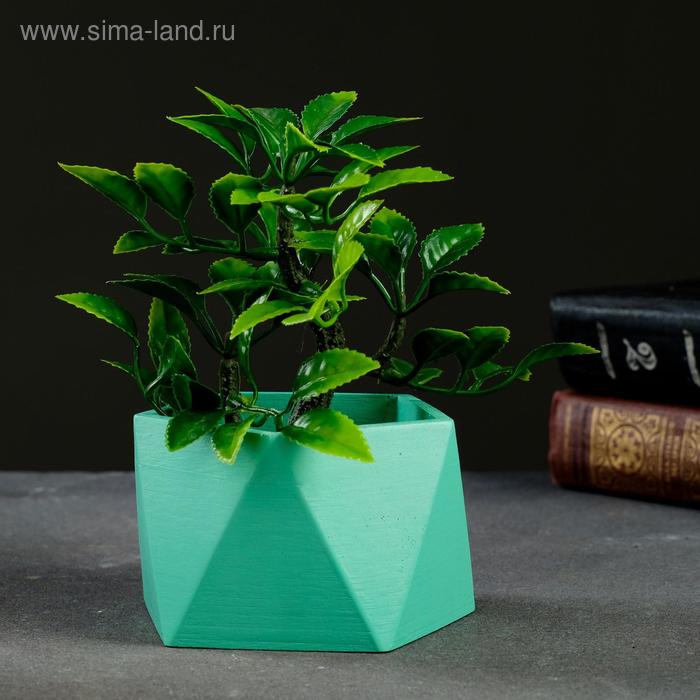 Кашпо Пятиугольник 9 х 6 см зелёный
Кашпо Пятиугольник 9 х 6 см зелёный